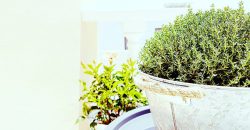 1 bedroom apartament Paradise Court, Costa adeje J007