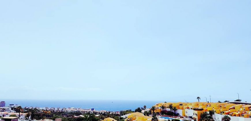1 bedroom apartament Paradise Court, Costa adeje J007