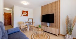 1 bedroom apartament , Las americas JS001