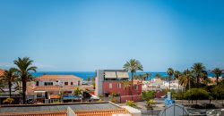 1 bedroom apartament , Las americas JS001