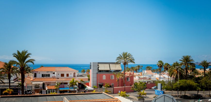 1 bedroom apartament , Las americas JS001