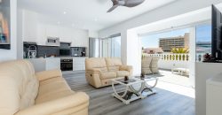 2 Bedroom apartament Los gigantes J023