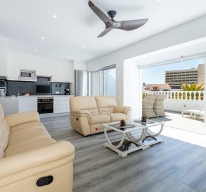 2 Bedroom apartament Los gigantes J023