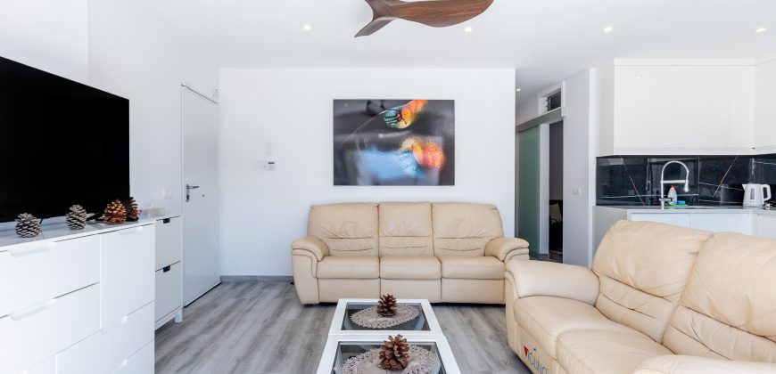 2 Bedroom apartament Los gigantes J023