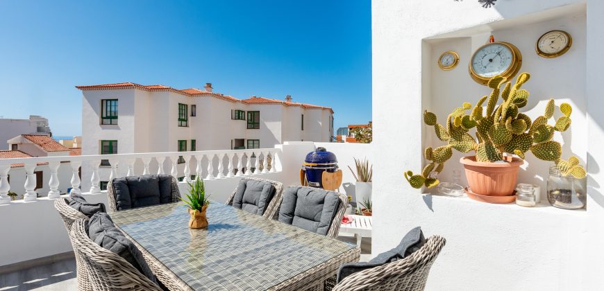 2 Bedroom apartament Los gigantes J023