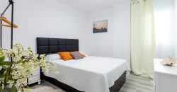 2 Bedroom apartament Los gigantes J023