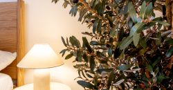 2 bedroom apartament, Puerto de Santiago, near beach la arena